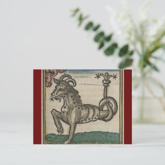  dierentuin - de capricorn briefkaart (Staand voorkant)