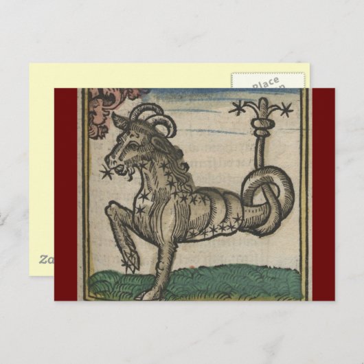  dierentuin - de capricorn briefkaart (Voorkant / Achterkant)