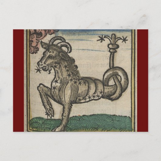 dierentuin - de capricorn briefkaart (Voorkant)