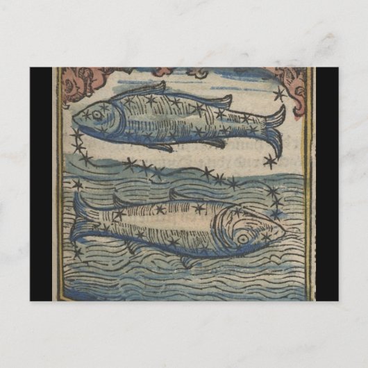 dierentuin - de stammen briefkaart (Voorkant)