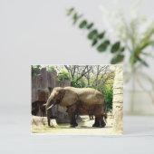 Dierentuin Dieren Briefkaart (Staand voorkant)