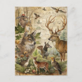 Dierentuin in het bos wolf herten natuur briefkaart (Voorkant)