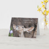 dierentuin kaarten, verjaardag, beloof ik ik zal kaart (Gele Bloem)