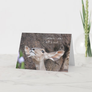 dierentuin kaarten, verjaardag, beloof ik ik zal kaart