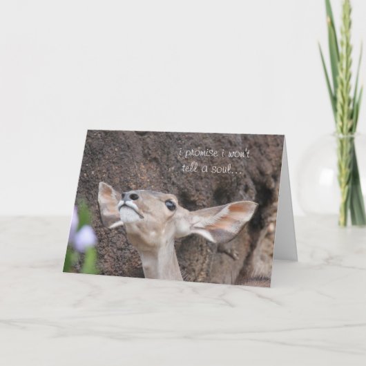 dierentuin kaarten, verjaardag, beloof ik ik zal kaart (Voorkant)