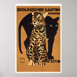 Dierentuin München Black Panther aan het voeren Poster