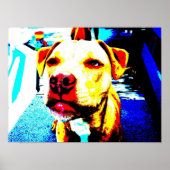 dierentuin na erized poster (Voorkant)