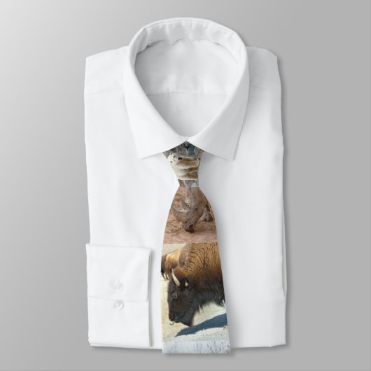 dierentuin stropdas (Gebonden)