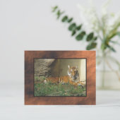 dierentuin, tijger briefkaart (Staand voorkant)