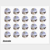 Dierentuin uit het verleden, Kolibrie Vogel Orchid Ronde Sticker (Vel)