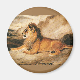 Dierentuin Wilde Dieren, Afrikaanse Leeuw in de Sa Magneet