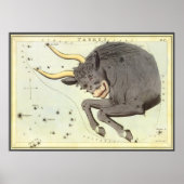  dierentuindische taurus bull constellatie poster (Voorkant)