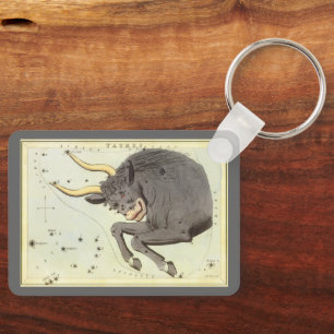 dierentuindische taurus bull constellatie sleutelhanger