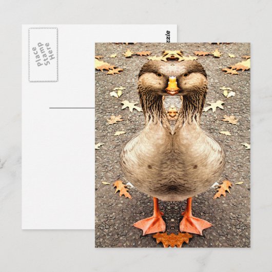 DIERENVERLIES BRIEFKAART (Voorkant / Achterkant)