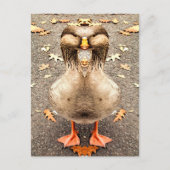 DIERENVERLIES BRIEFKAART (Voorkant)