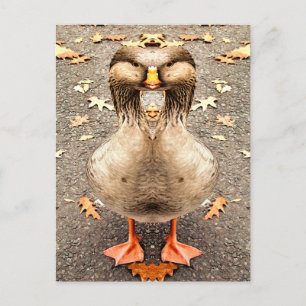 DIERENVERLIES BRIEFKAART