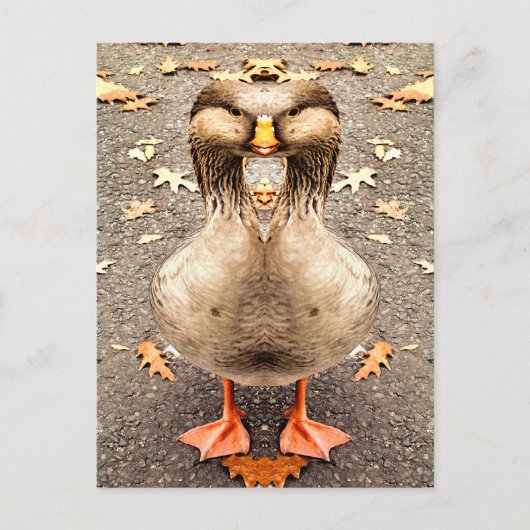 DIERENVERLIES BRIEFKAART (Voorkant)