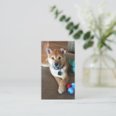 Dierenverzorgingsprofessional Schattige Shiba Inu  Visitekaartje (Staand voorkant)