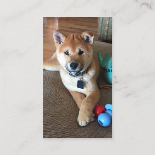 Dierenverzorgingsprofessional Schattige Shiba Inu  Visitekaartje (Voorkant)
