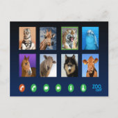 Dierenvideoconferentie Briefkaart (Voorkant)