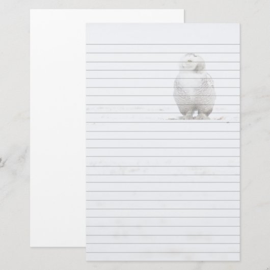 Dierenvogel Snowy Owl die naar me kijkt Briefpapier (Voorkant / Achterkant)