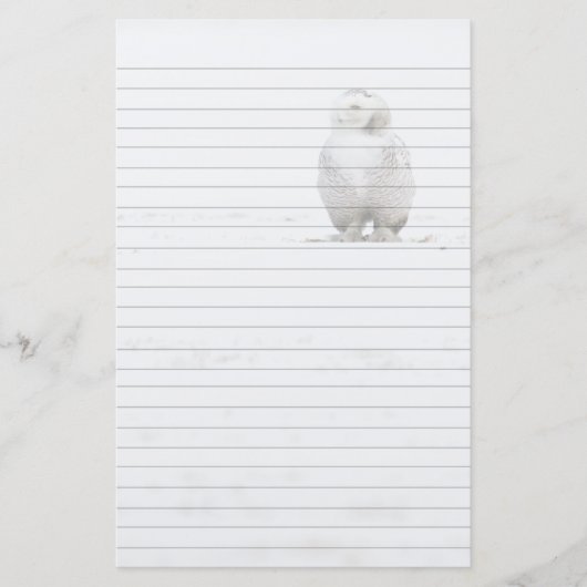 Dierenvogel Snowy Owl die naar me kijkt Briefpapier (Voorkant)