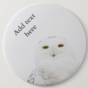 Dierenvogel Snowy Owl die naar me kijkt Ronde Button 6,0 Cm