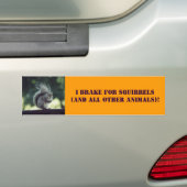 dierenvriend Bumpersticker (Op auto)