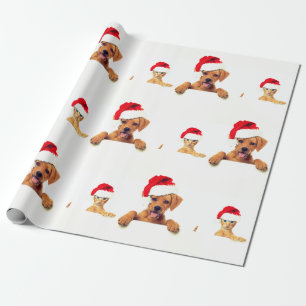 Dierenvrienden kerstpapier cadeaupapier