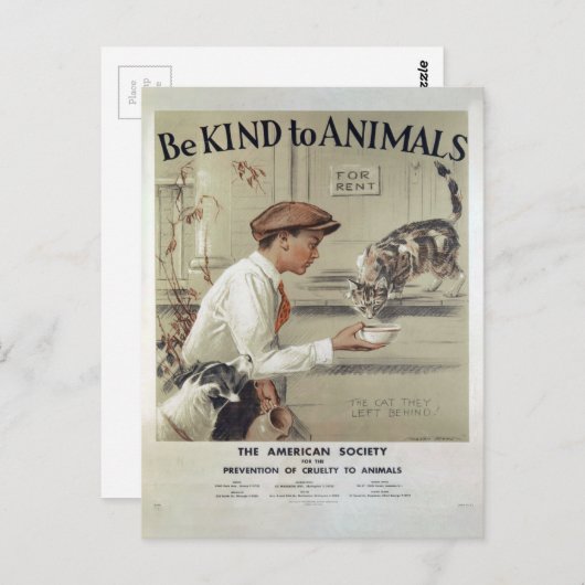 dierenwelzijn briefkaart (Voorkant / Achterkant)