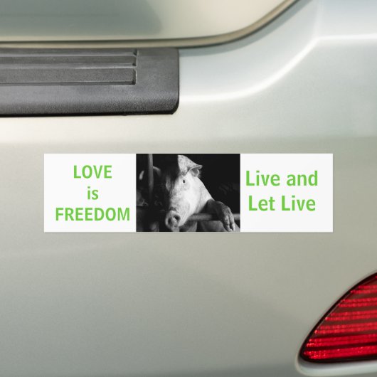Dierenwelzijn Bumpersticker Vegan Car (Op auto)