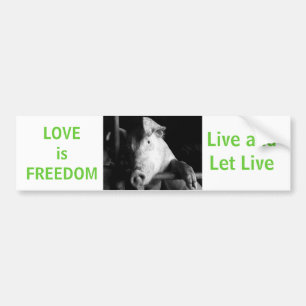 Dierenwelzijn Bumpersticker Vegan Car