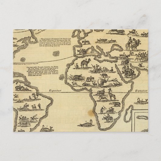 Dierenwereld Briefkaart (Voorkant)