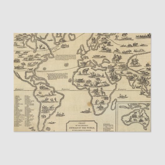 Dierenwereld Tissuepapier (Voorkant)