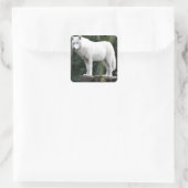 Dierenwolf Natuur Vrede Liefde Destiny Vierkante Sticker (Tas)