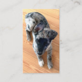 Dierenzorg Voeg uw verticale foto toe aan de maats Visitekaartje (Voorkant)