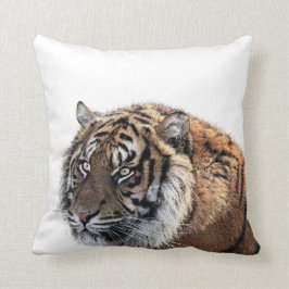 Dierfoto van het tijgerwild afrikaanse oerwoud kussen