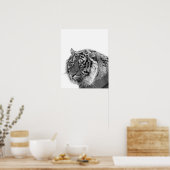 Dierfoto van tijger wild oerwoud zwart-wit poster (Keuken)