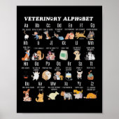 Diergeneeskunde Alfabet Dierenarts Verpleegkundige Poster (Voorkant)