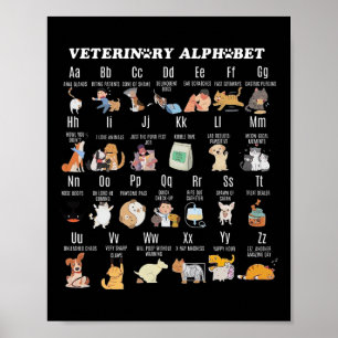 Diergeneeskunde Alfabet Dierenarts Verpleegkundige Poster
