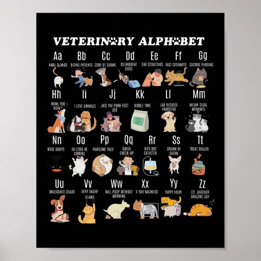 Diergeneeskunde Alfabet Dierenarts Verpleegkundige Poster (Voorkant)