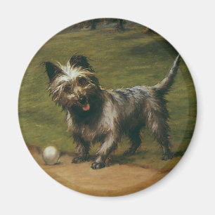 Dierhonden uit het verleden, cute Schotse Terrier- Magneet