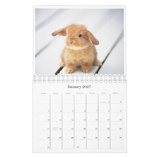 dierkalender 2010 kalender (Jan 2027)