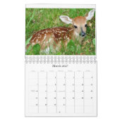 dierkalender 2010 kalender (Mar 2027)