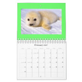 dierkalender 2010 kalender (Feb 2027)