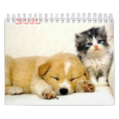 dierkalender 2010 kalender (Hoes)