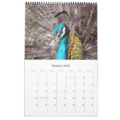 dierkalender 2012 kalender (Jan 2026)