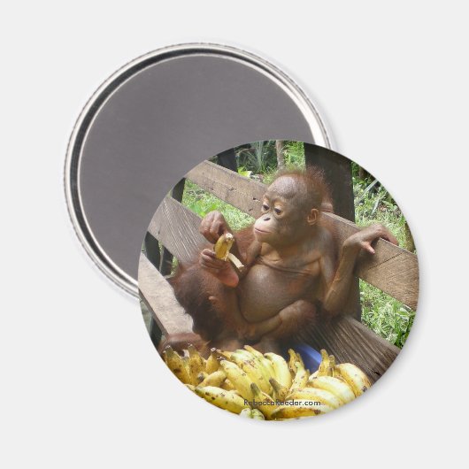 Dierlijk Baby-voedsel Magneet (Voorkant / Achterkant)