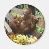 Dierlijk Baby-voedsel Magneet (Voorkant)