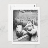 Dierlijk Boerderij - Squealer Briefkaart (Voorkant / Achterkant)